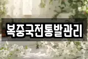 복중국전통발관리