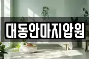 대동안마지압원