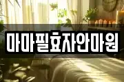 마마필효자안마원