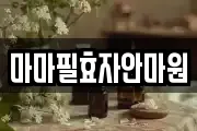 마마필효자안마원