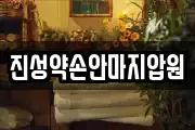 진성약손안마지압원