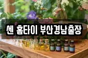 센 홈타이 부산경남출장