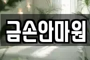 금손안마원
