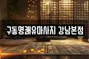 서울특별시 강남구 논현동 마사지, 지압등 업체정보