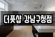 더풋샵 강남구청점