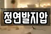 정연발지압