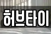 허브타이