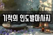 서울특별시 강남구 도곡동 마사지, 지압등 업체정보
