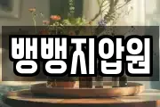 뱅뱅지압원