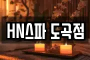 HN스파 도곡점
