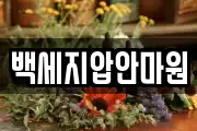 백세지압안마원