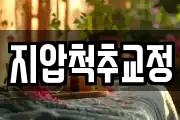 지압척추교정