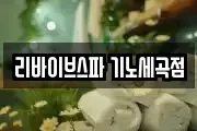 리바이브스파 기노세곡점