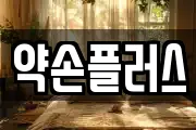 약손플러스