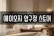 에이오지 압구정 스토어
