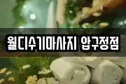 월디수기마사지 압구정점