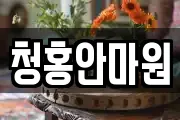 청홍안마원