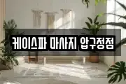 케이스파 마사지 압구정점