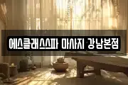 에스클래스스파 마사지 강남본점