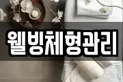 웰빙체형관리