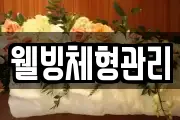 웰빙체형관리