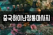 중국하이난정통마사지