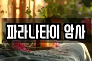 파라나타이 암사