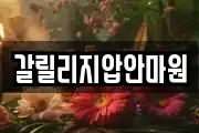 갈릴리지압안마원