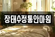 장태수정통안마원