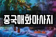 중국매화마사지