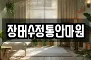 장태수정통안마원