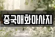 중국매화마사지