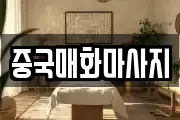 중국매화마사지