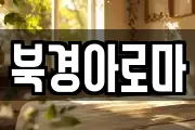 북경아로마