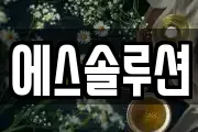 에스솔루션