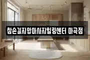 참손길지압마사지힐링센터 마곡점
