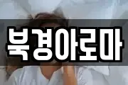 북경아로마
