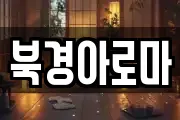 북경아로마