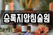 승록지압침술원