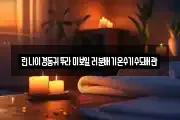 린나이경동귀뚜라미보일러분배기온수기수도배관
