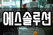 에스솔루션