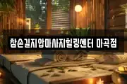서울특별시 강서구 외발산동 마사지, 지압등 업체정보