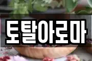 토탈아로마