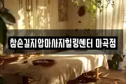 서울특별시 강서구 마사지, 지압등 업체정보