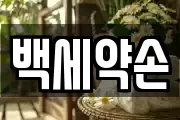 백세약손