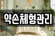 약손체형관리