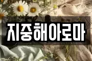 지중해아로마