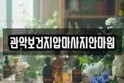 서울특별시 마사지, 지압등 업체정보