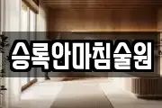 승록안마침술원