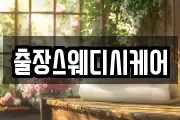 출장스웨디시케어